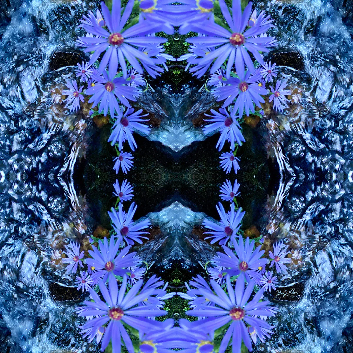 Creekside Petals - Spring/Summer 2022